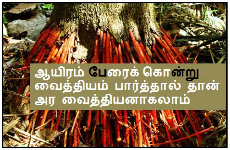 பழமொழிகளின் உண்மையான அர்த்தங்கள்  பகுதி 1